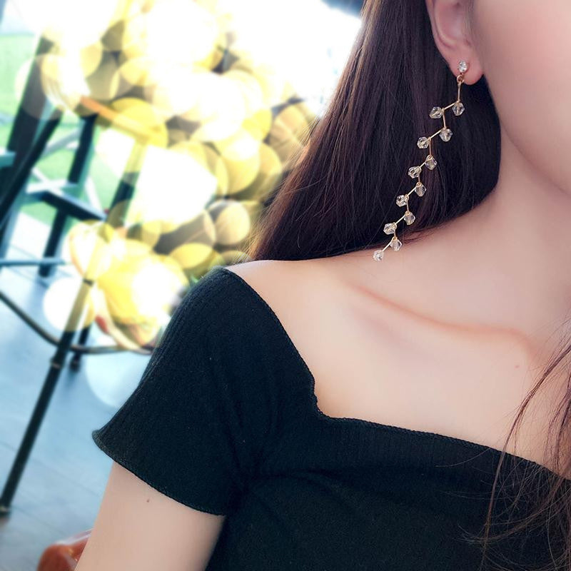 Fashion Personality New Earrings Female Tassel