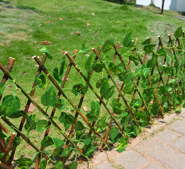 Plant Climb Trellis Extensie Tipul grădinii Clădiri Anticorozive Wood Trage Net Net Wall Garden Garden Decor de perete