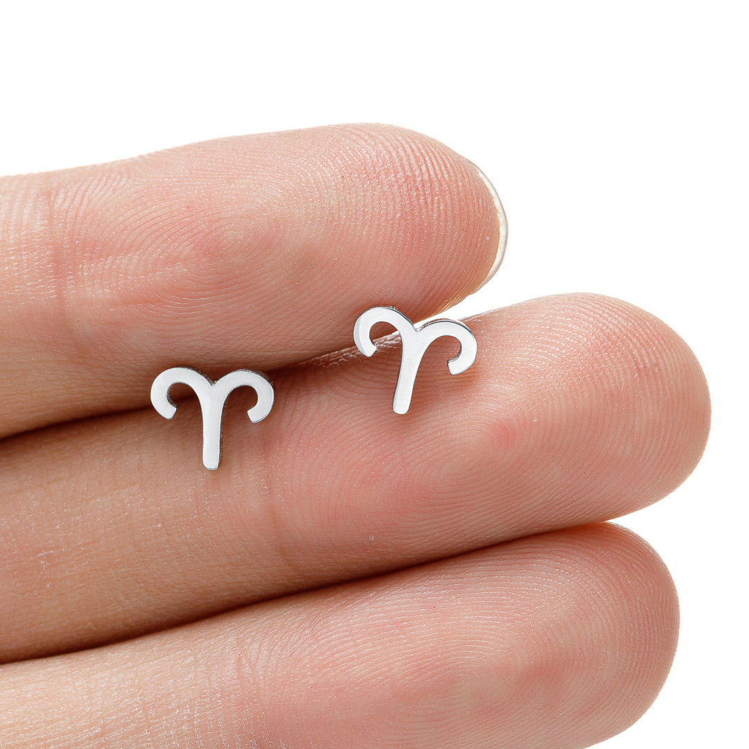 Fashion Stainless Steel Twelve Constellation Stud Earrings