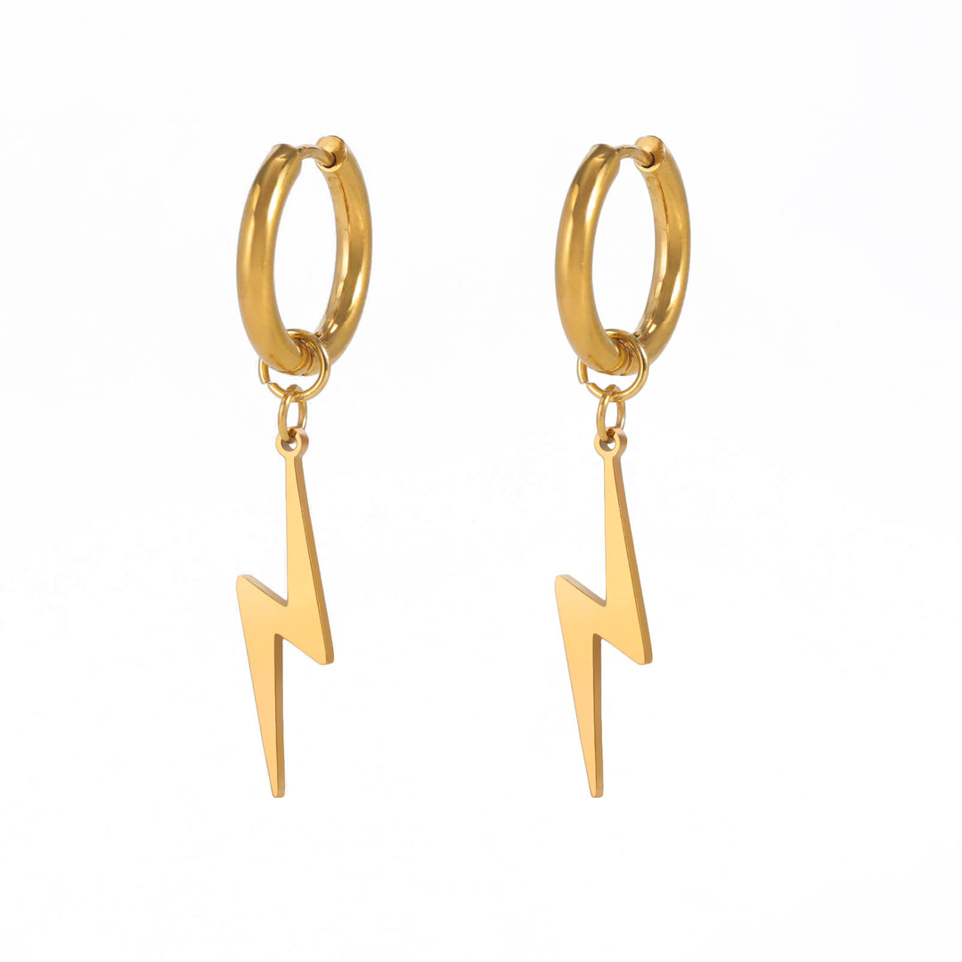 Temperament Wild Stainless Steel Women's Earrings