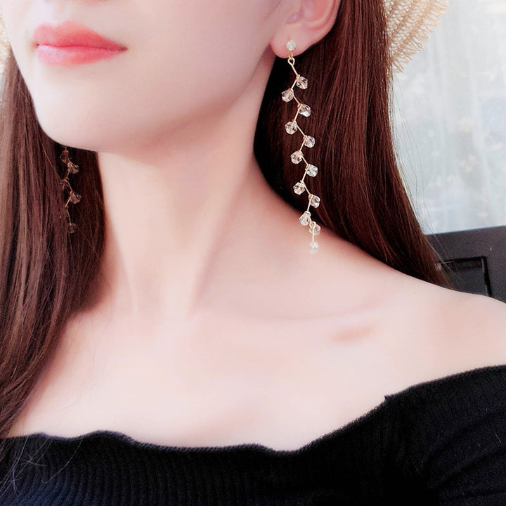 Fashion Personality New Earrings Female Tassel