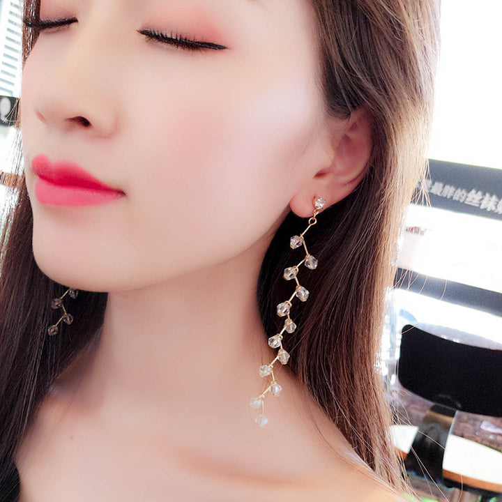 Fashion Personality New Earrings Female Tassel