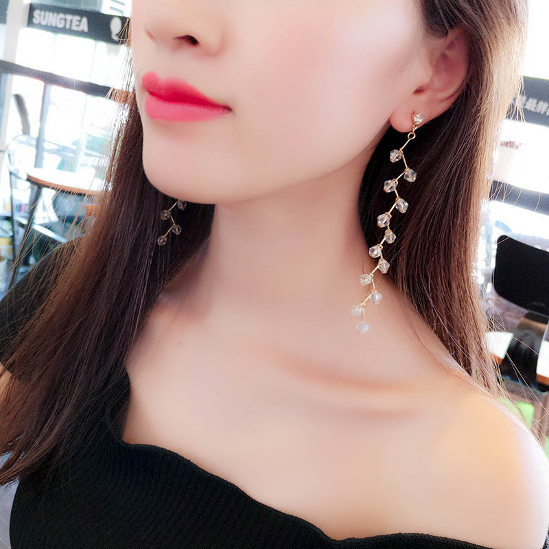 Fashion Personality New Earrings Female Tassel