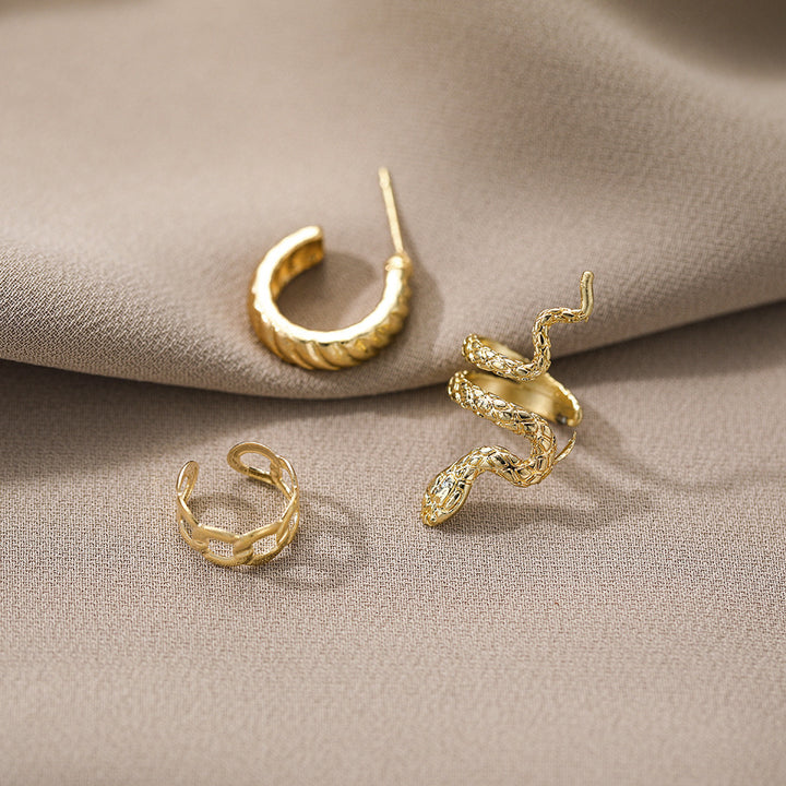 Retro Snake Suit Stud Earrings Three-piece Set Earrings Eardrops