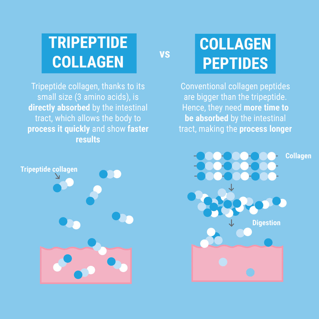 Colagen Tripeptidă 99 Molecule mici Peptidă de colagen Pulbere Pulbere Apă Solubilă Albă Abisal Extragere Lanț peptidic Little Ușor ușor de absorbit